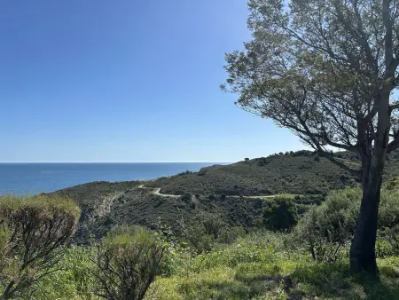 Appartement vue mer à 500m du port à Banyuls-sur-Mer : photo 16