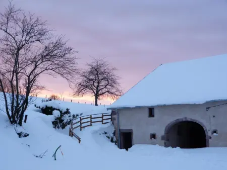 Gîte Vosges : nature, cheminée, animaux acceptés - Photo 4