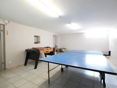 Gîte Vosges : nature, cheminée, animaux acceptés - Photo 19