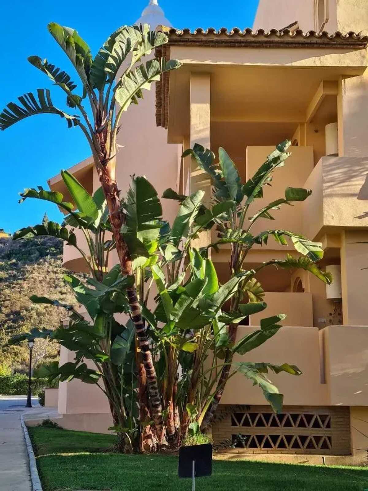 Appartement 90 m² Marbella, 4 piscines, 6 personnes - Photo 22