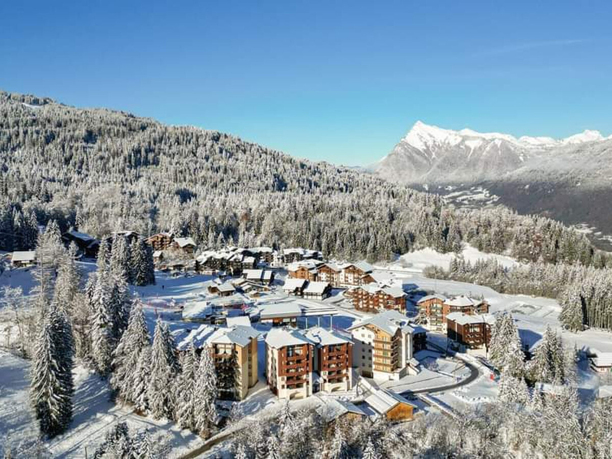Appartement 1 chambre vue pistes, balcon sud à Morillon - Photo 11