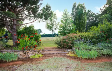 Maison en pierre avec piscine à Montcabrier : photo 7