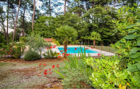Maison en pierre avec piscine à Montcabrier : photo 9