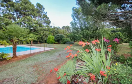 Maison en pierre avec piscine à Montcabrier : photo 10