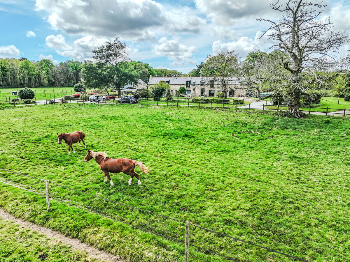 Maison Kezeg à Ploéren, 5 pers., parc 40 ha - Photo 22