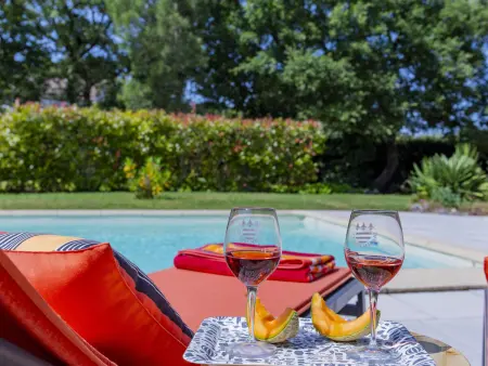 Villa Clairchant – piscine privée et 2 050 m² de terrain, St Siffret - Photo 6