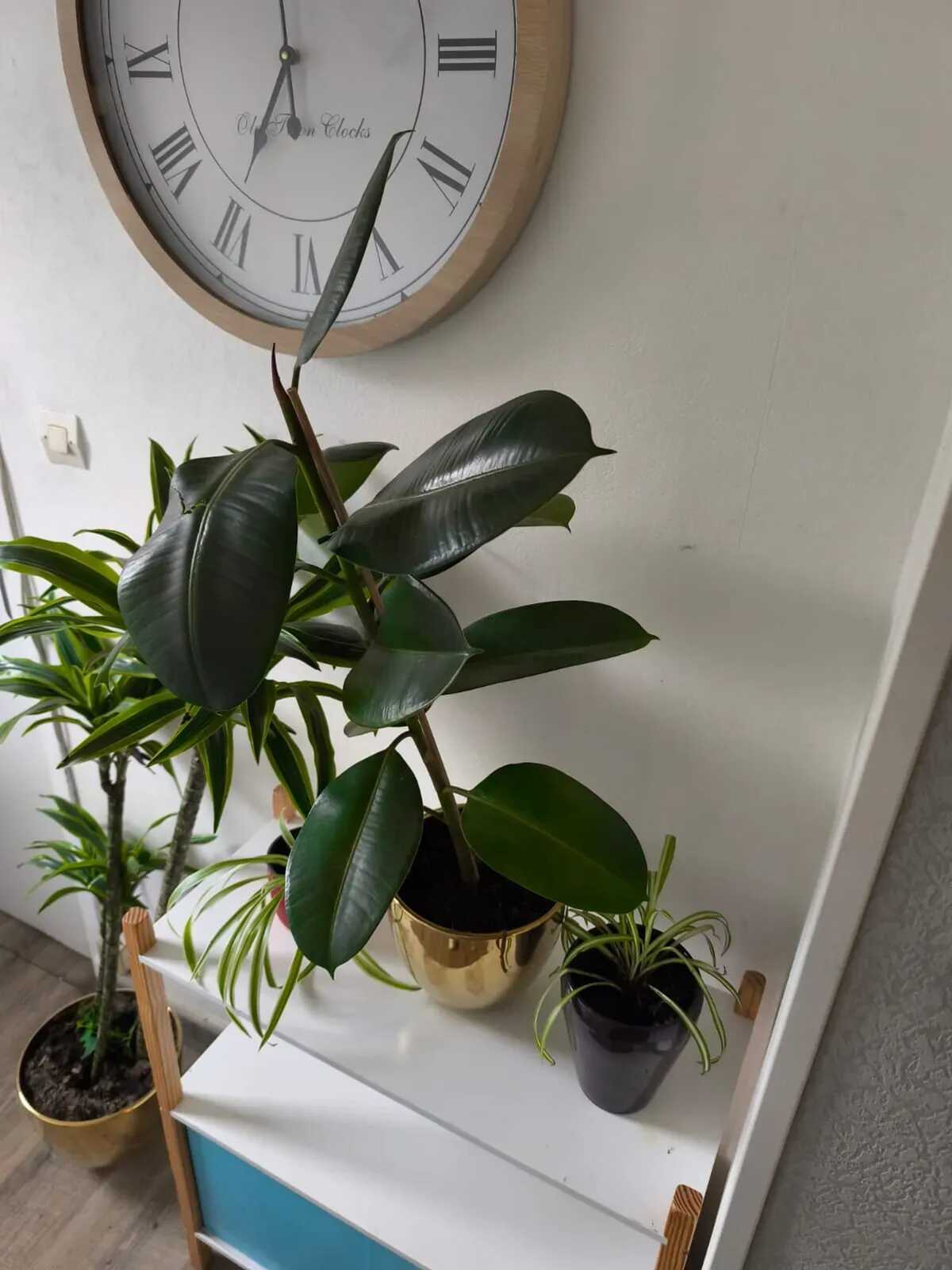 Appartement 70 m² pour 5 personnes à Eppeville - Photo 18