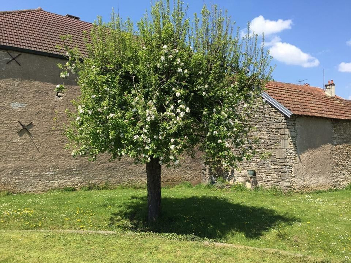 La Petite Maison de Marie, gîte en bord de Saône - Photo 28