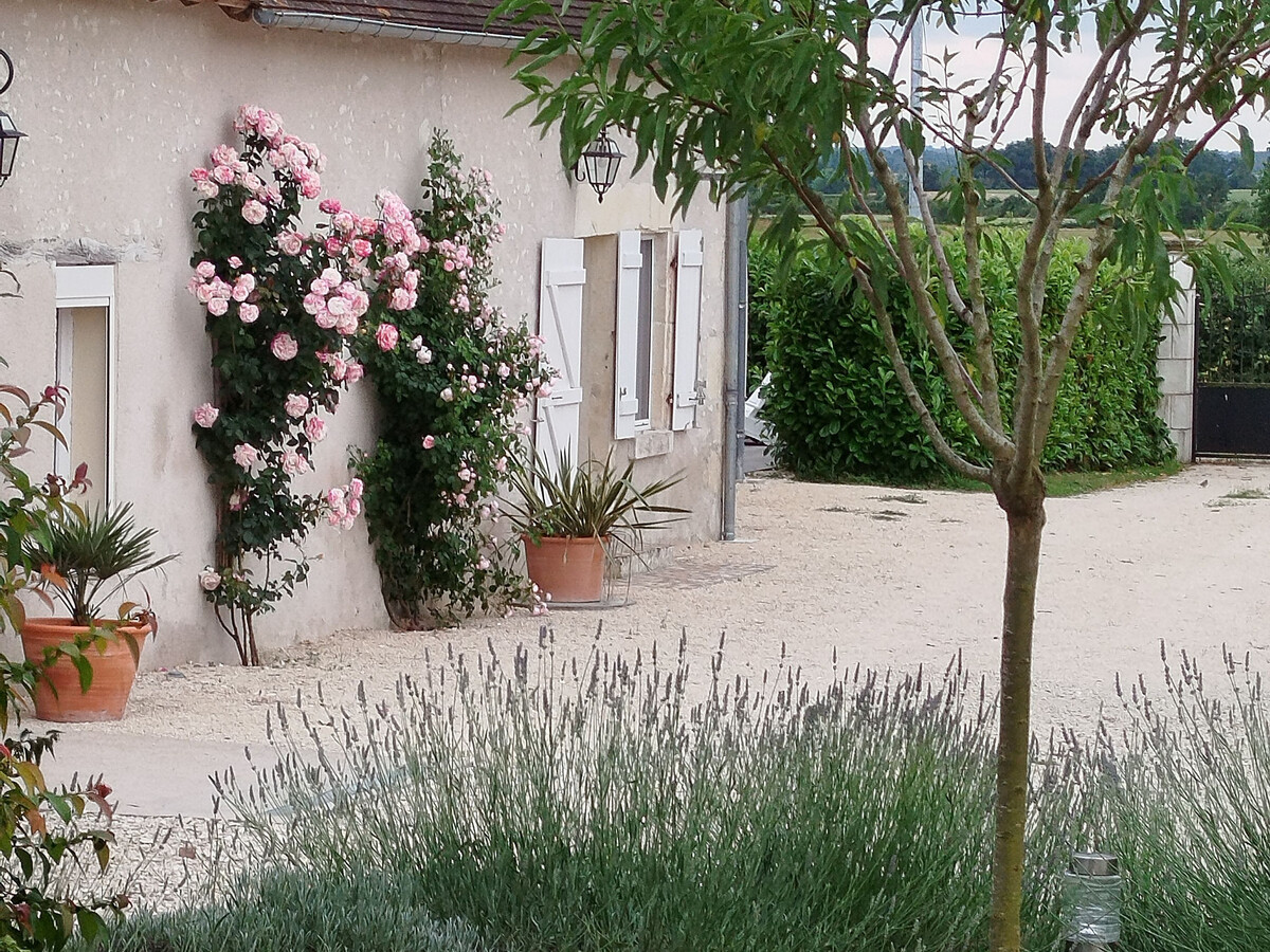 Gîte rural avec box chevaux à Paulnay - Photo 1