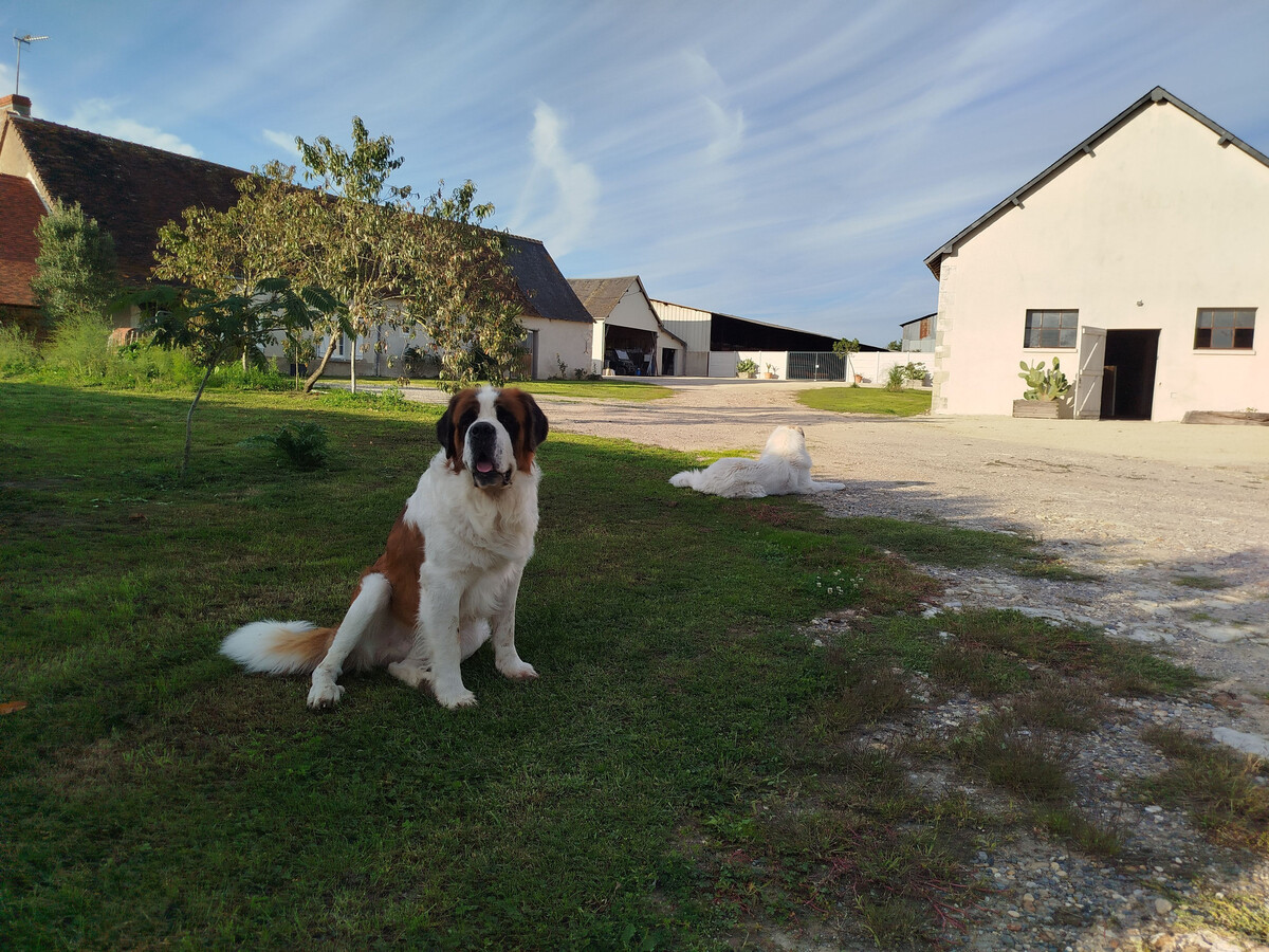 Gîte rural avec box chevaux à Paulnay - Photo 24