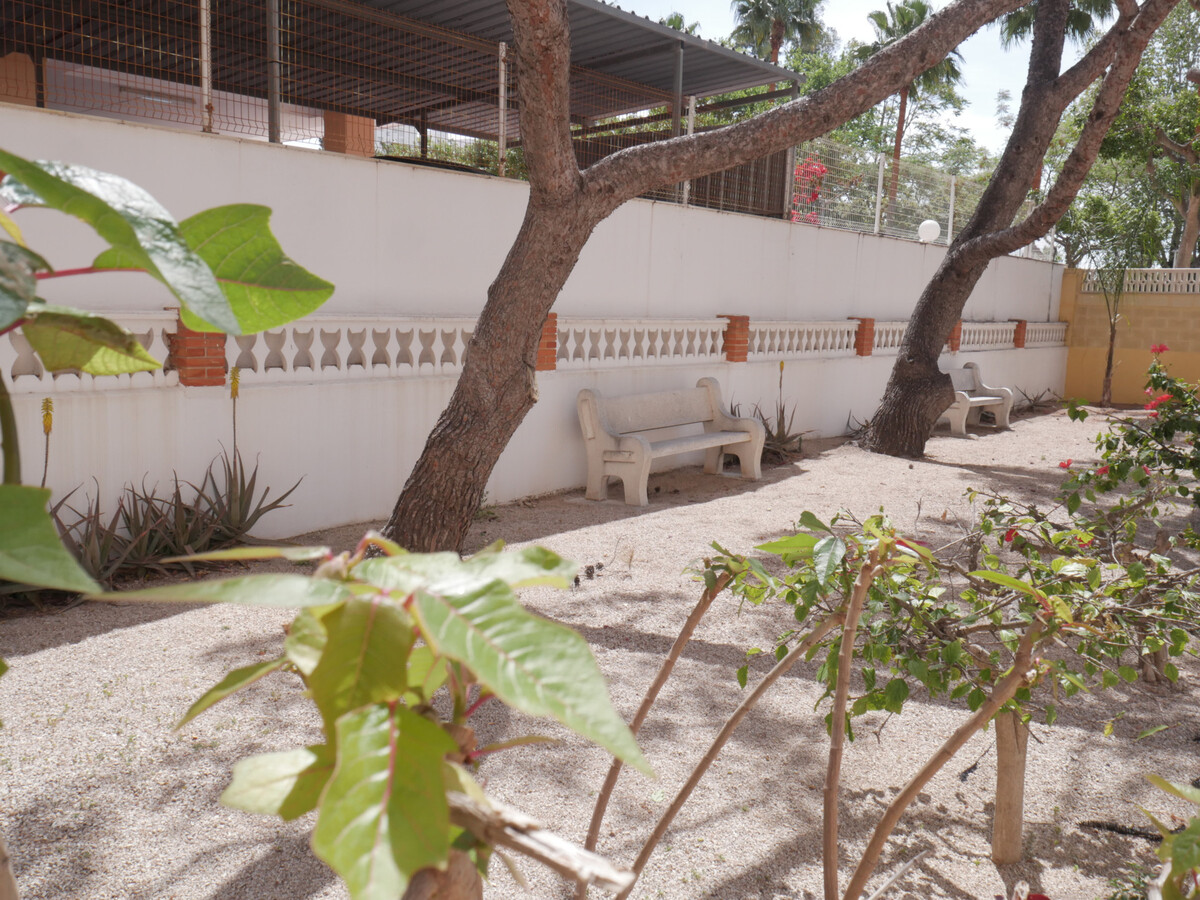 Appartement 1 chambre Cullera, terrasse et piscine à 200m plage - Photo 16