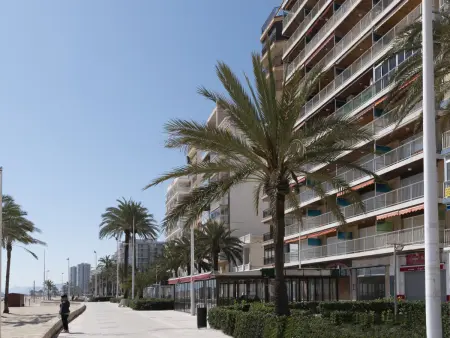 Appartement 3 chambres face mer à Cullera, 8 personnes : photo 8