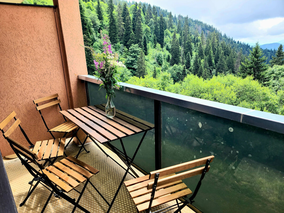 Studio 24 m² Chamrousse, vue pistes de ski - Photo 1