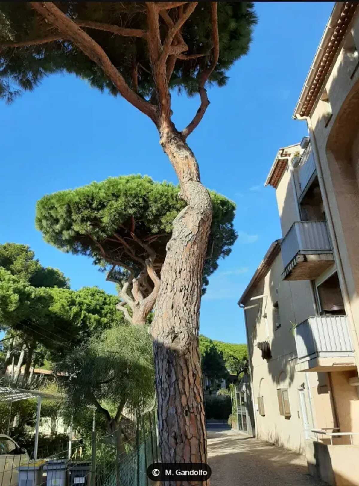Appartement 45 m² avec balcon à Hyères, près des plages - Photo 1