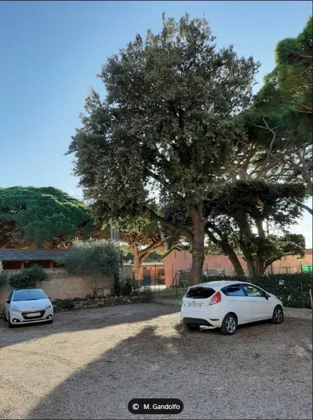 Appartement 45 m² avec balcon à Hyères, près des plages - Photo 10