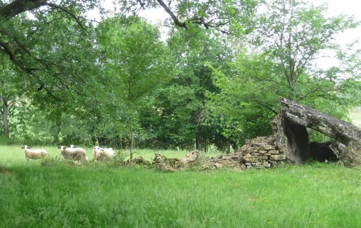 Maison 3 étoiles à Faycelles, 6 personnes, animaux acceptés - Photo 11