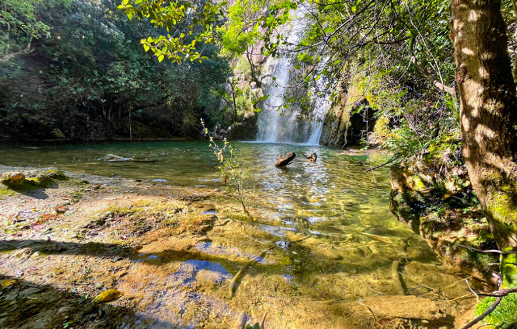Maison provençale avec piscine au Val - Photo 25