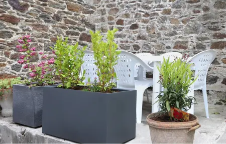 Maison bretonne en pierre, vue mer à Saint-Benoît-des-Ondes : photo 12