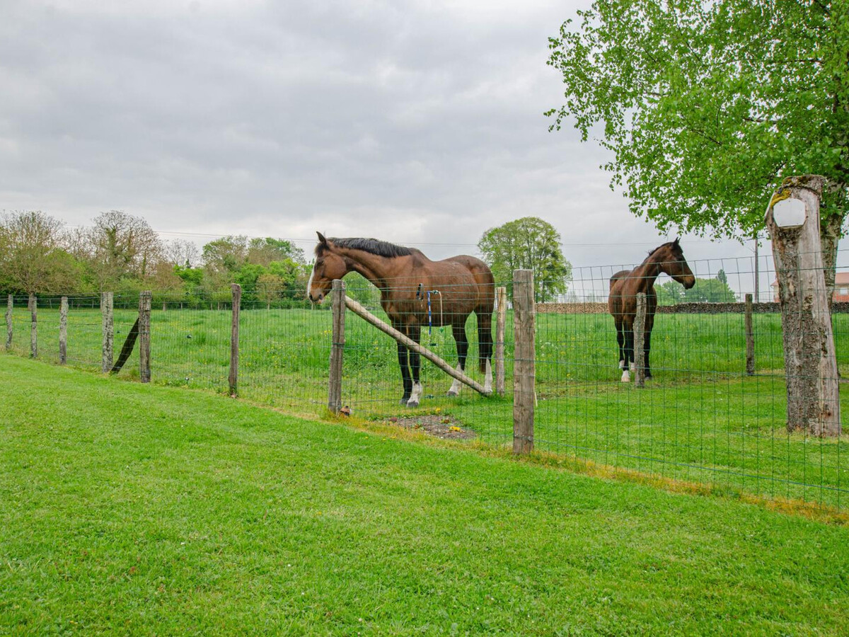 Gîte 12 personnes avec spa et chevaux à Piney - Photo 26