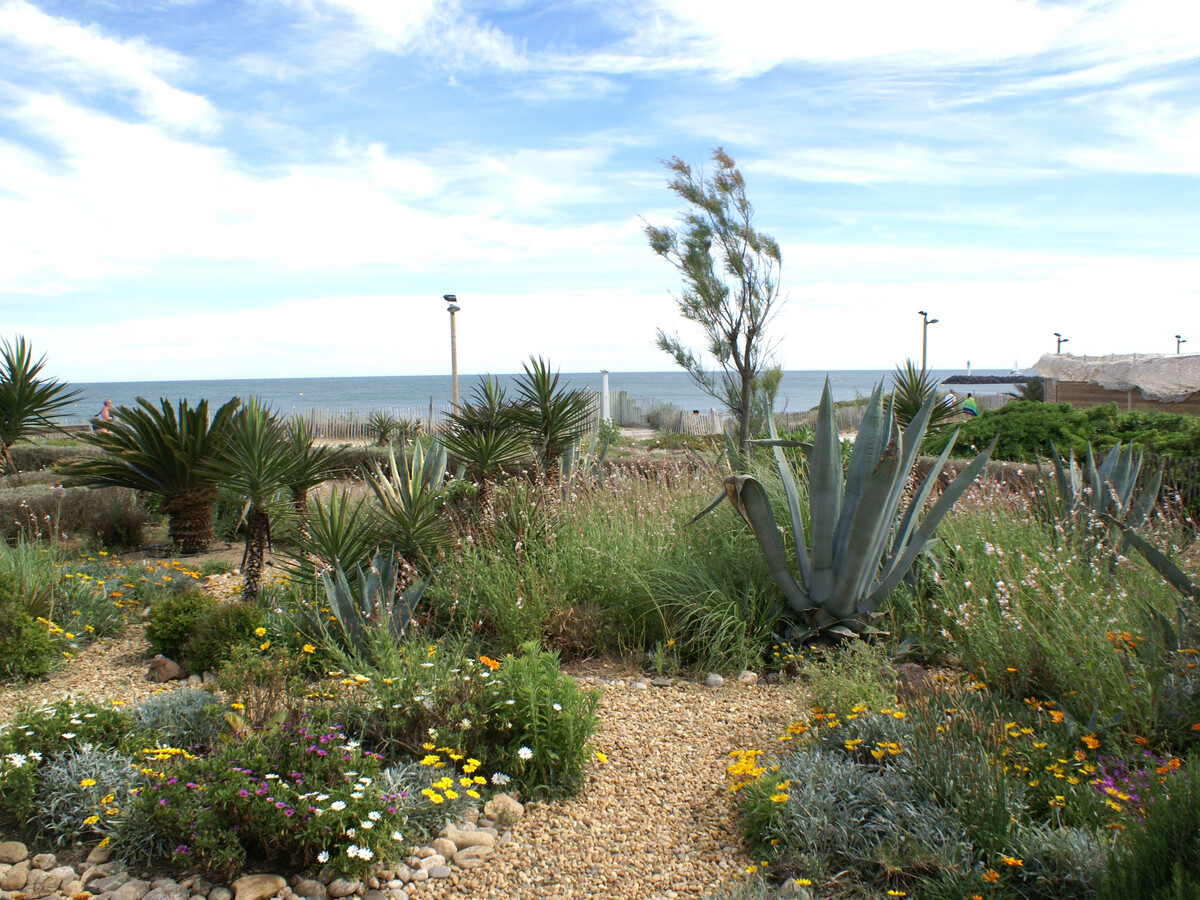 Appartement climatisé vue mer, 2 chambres, Cap d'Agde - Photo 1