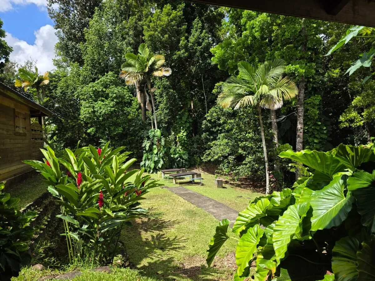 Appartement 5 chambres avec jardin et ruisseau à Goyave - Photo 19