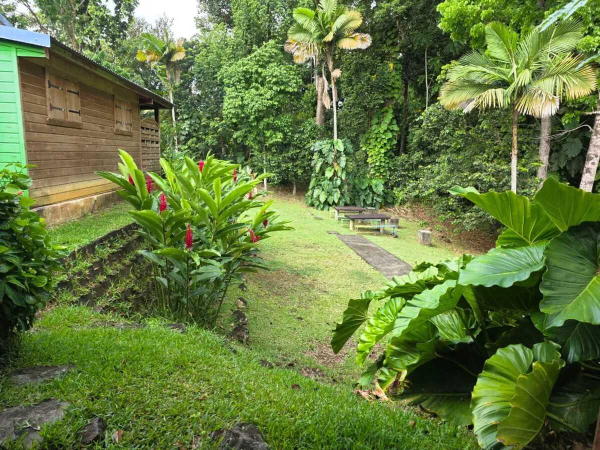 Appartement 5 chambres avec jardin et ruisseau à Goyave - Photo 29