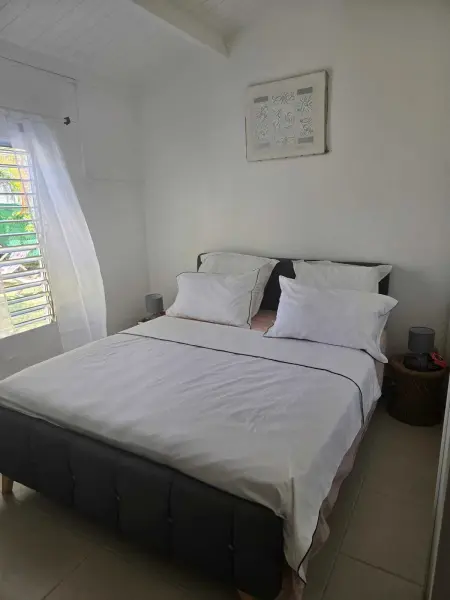 Maison 2 chambres avec jardin privatif et barbecue à Baie-Mahault : photo 8