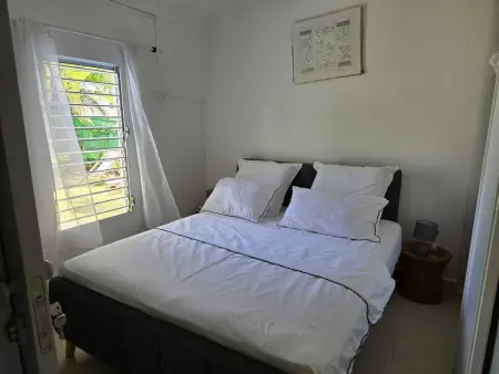 Maison 2 chambres avec jardin privatif et barbecue à Baie-Mahault : photo 29