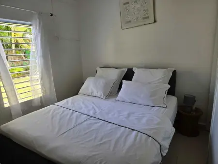 Maison 2 chambres avec jardin privatif et barbecue à Baie-Mahault : photo 30