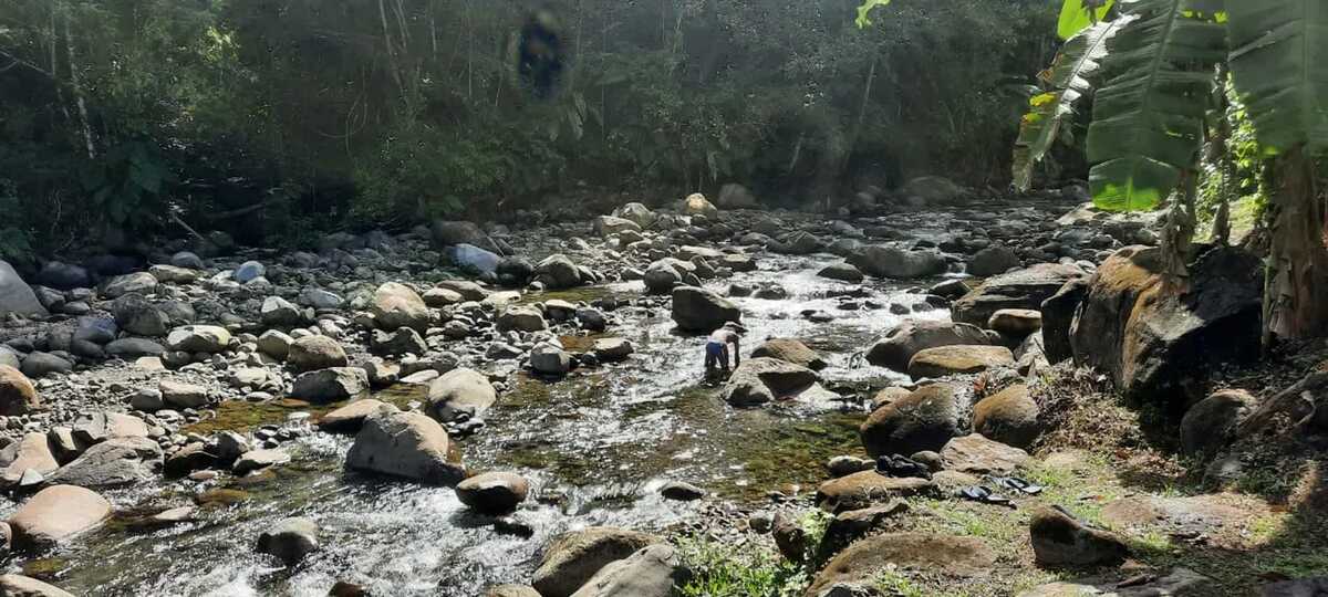 Bungalow 40 m² à Goyave, terrasse et jardin - Photo 9