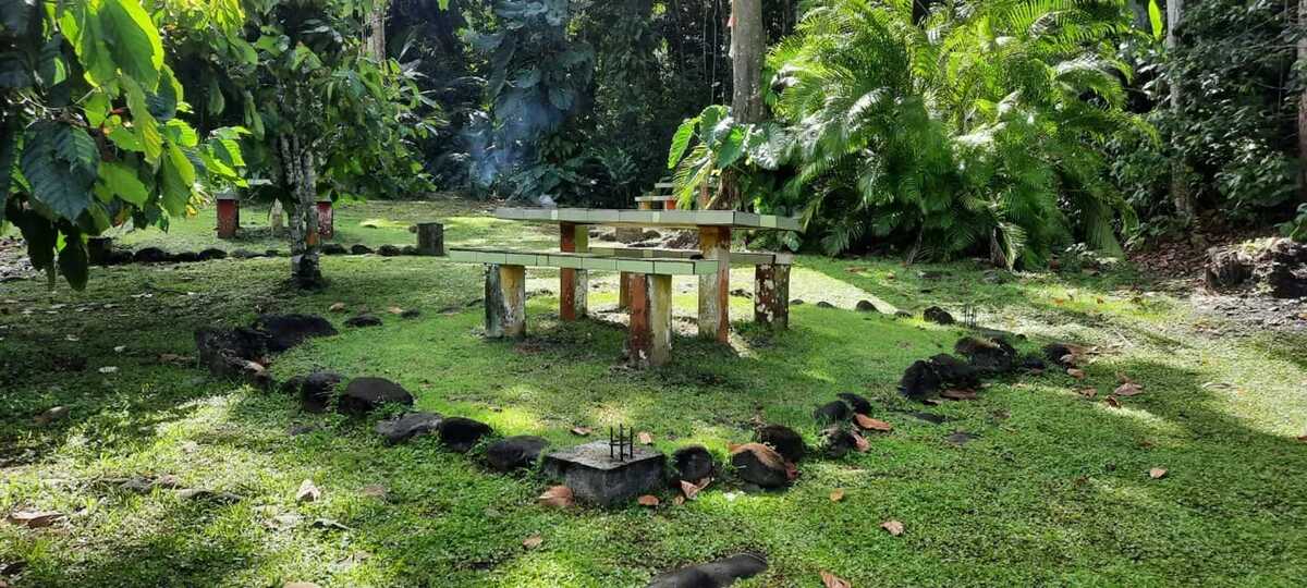 Appartement 50 m² vue montagne et balcon privé à Goyave - Photo 15