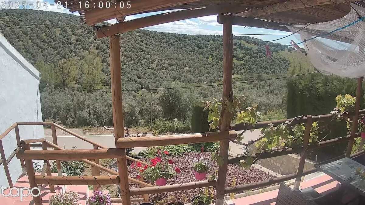 Maison 4 pers. avec piscine & jacuzzi à Villanueva de Algaidas - Photo 30