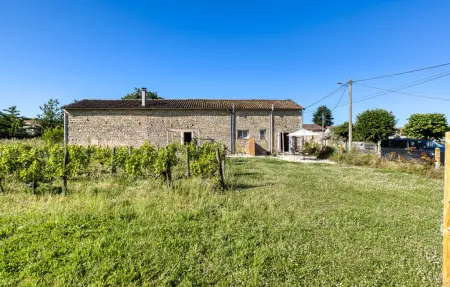Location maison à Savigné, Holiday gite on a vineyard