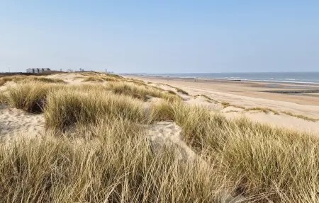 Appartement avec piscine commune chauffée à Bredene, près de la plage : photo 2