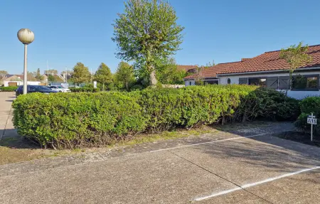 Appartement avec piscine commune chauffée à Bredene, près de la plage : photo 12