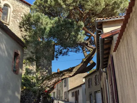 Le Nanifa, appartement atypique à Clisson vue sur la Sèvre - Photo 20