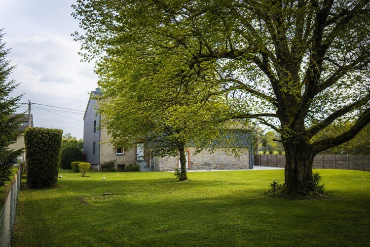 Ardennes Escape : maison 12 personnes avec sauna - Photo 33