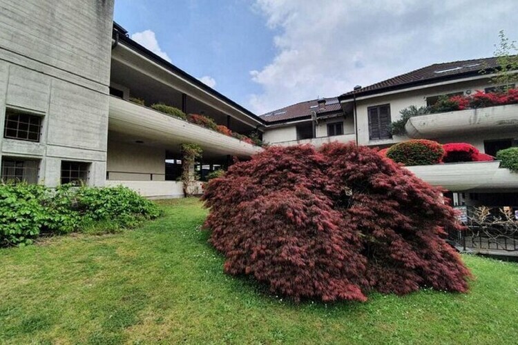 Van Gogh 2, maison lac Majeur avec jardin - Photo 18