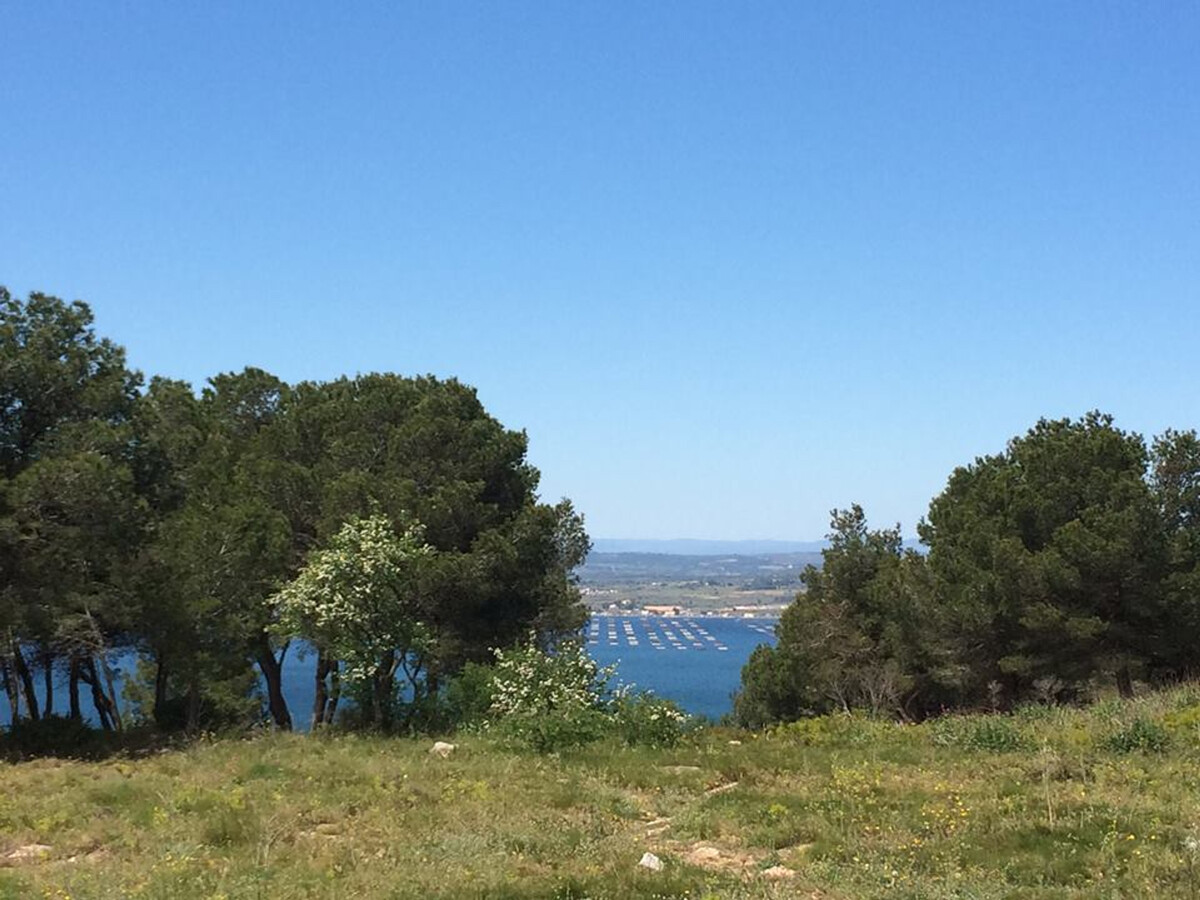 Deux pièces vue canal, loggia et parking à Sète - Photo 23