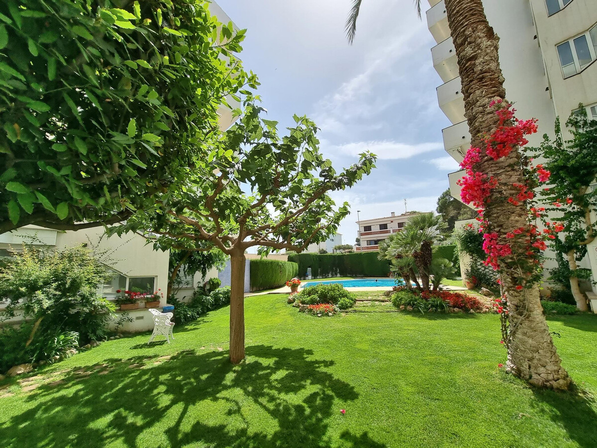 Appartement 4 pers. terrasse mer à L'Escala - Photo 2