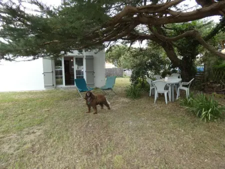 Maison vendéenne 3 ch, jardin clos, 800m plage : photo 14