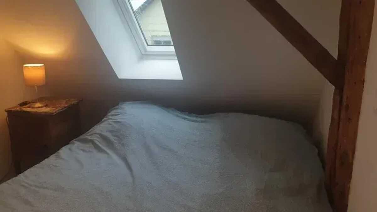 Maison 120 m² à Sainte-Croix-en-Plaine, 2 espaces indépendants - Photo 18