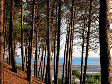 Studio Charmant Proche Plage pour 2 Pers avec Parking - Photo 15