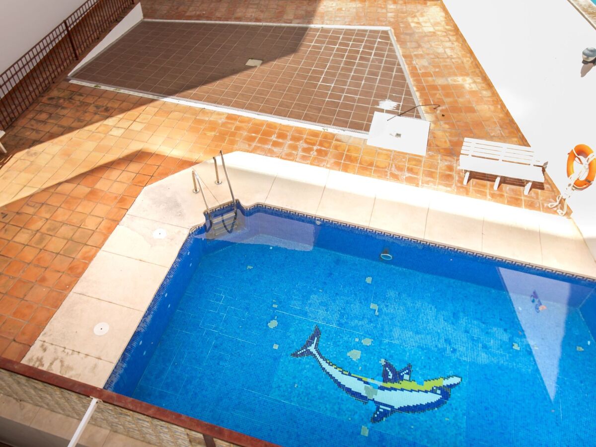 Appartement Edificio Ulia, 100 m de la plage - Photo 19
