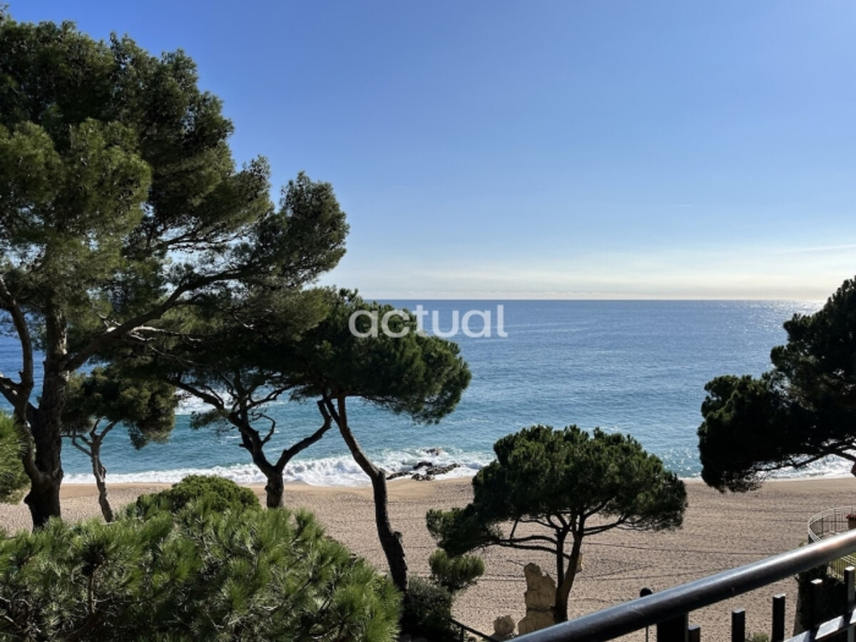 Appartement bord de mer, 2 chambres, terrasse vue mer - Photo 1