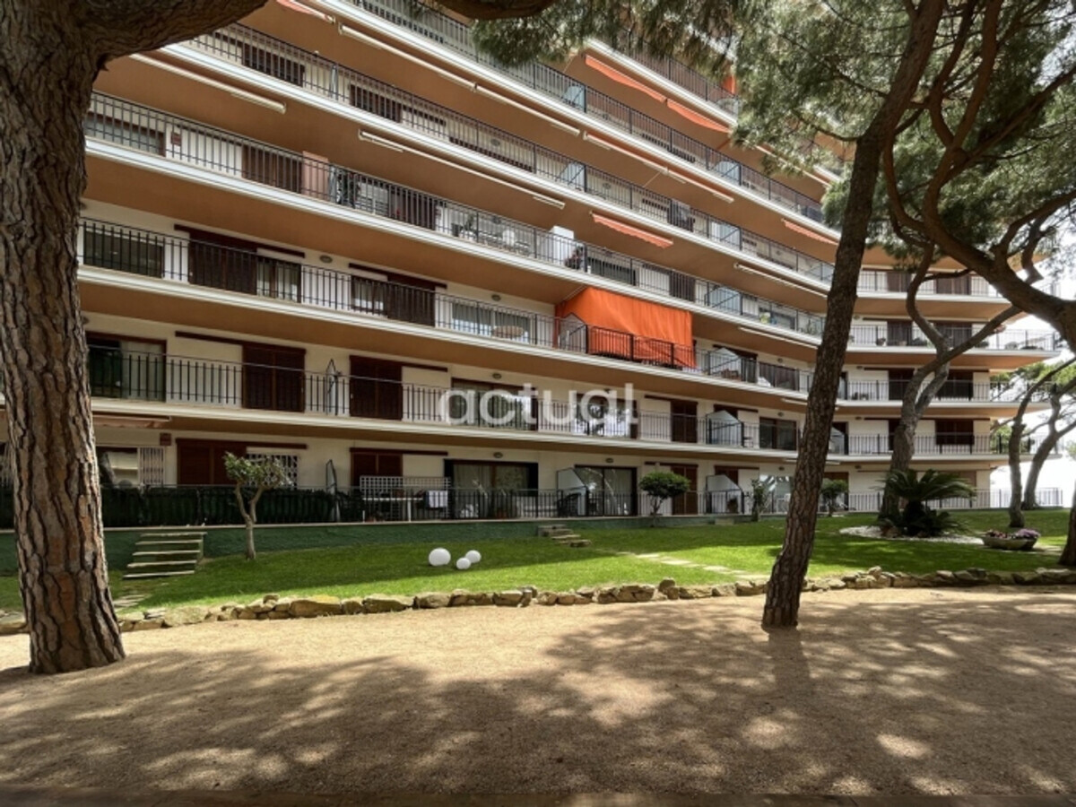 Appartement bord de mer, 2 chambres, terrasse vue mer - Photo 21