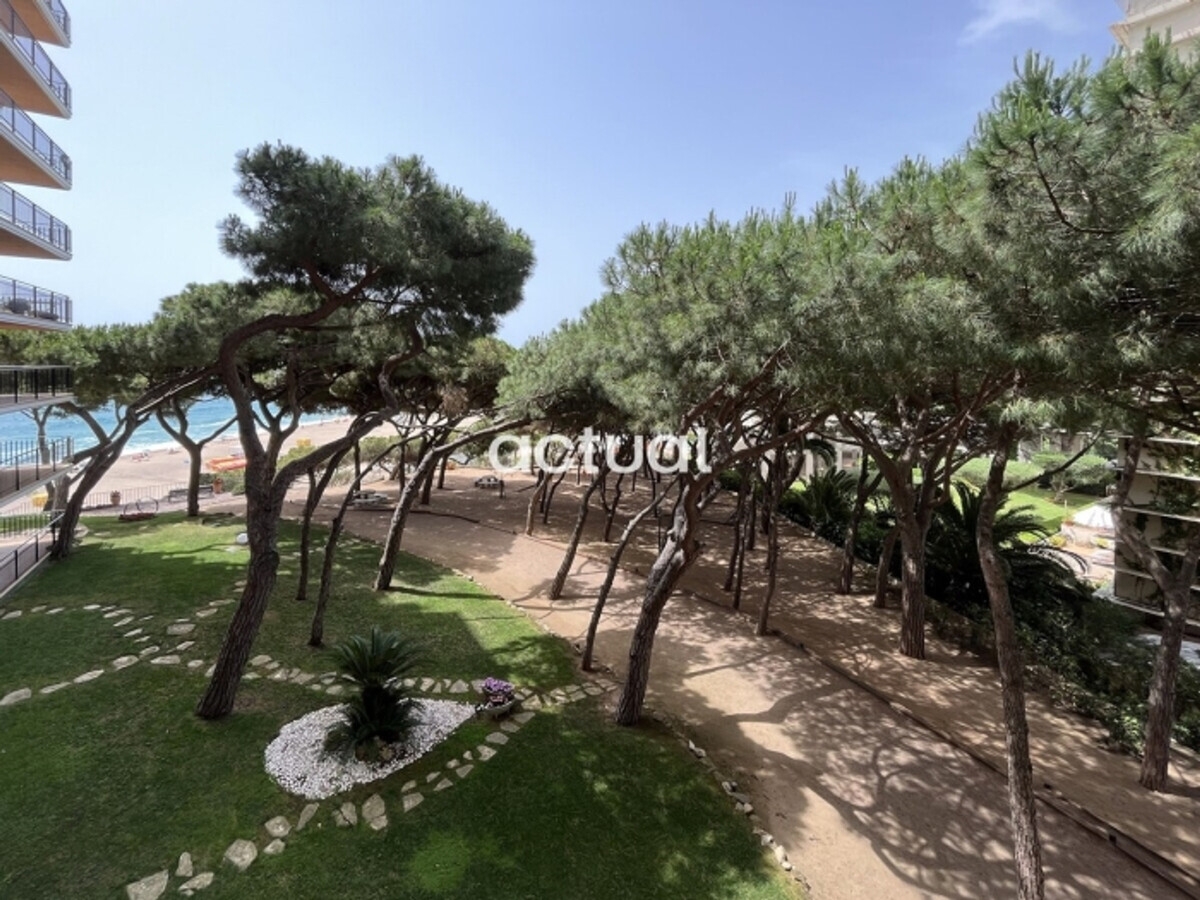 Appartement 4 chambres bord de mer avec parking à Platja d'Aro - Photo 17