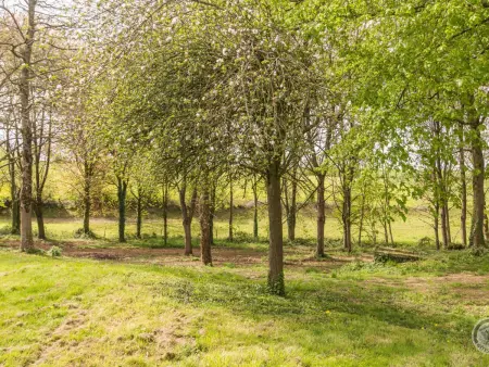 Maison Authentique 3 chambres avec Jardin près du Mont-Saint-Michel - Photo 19