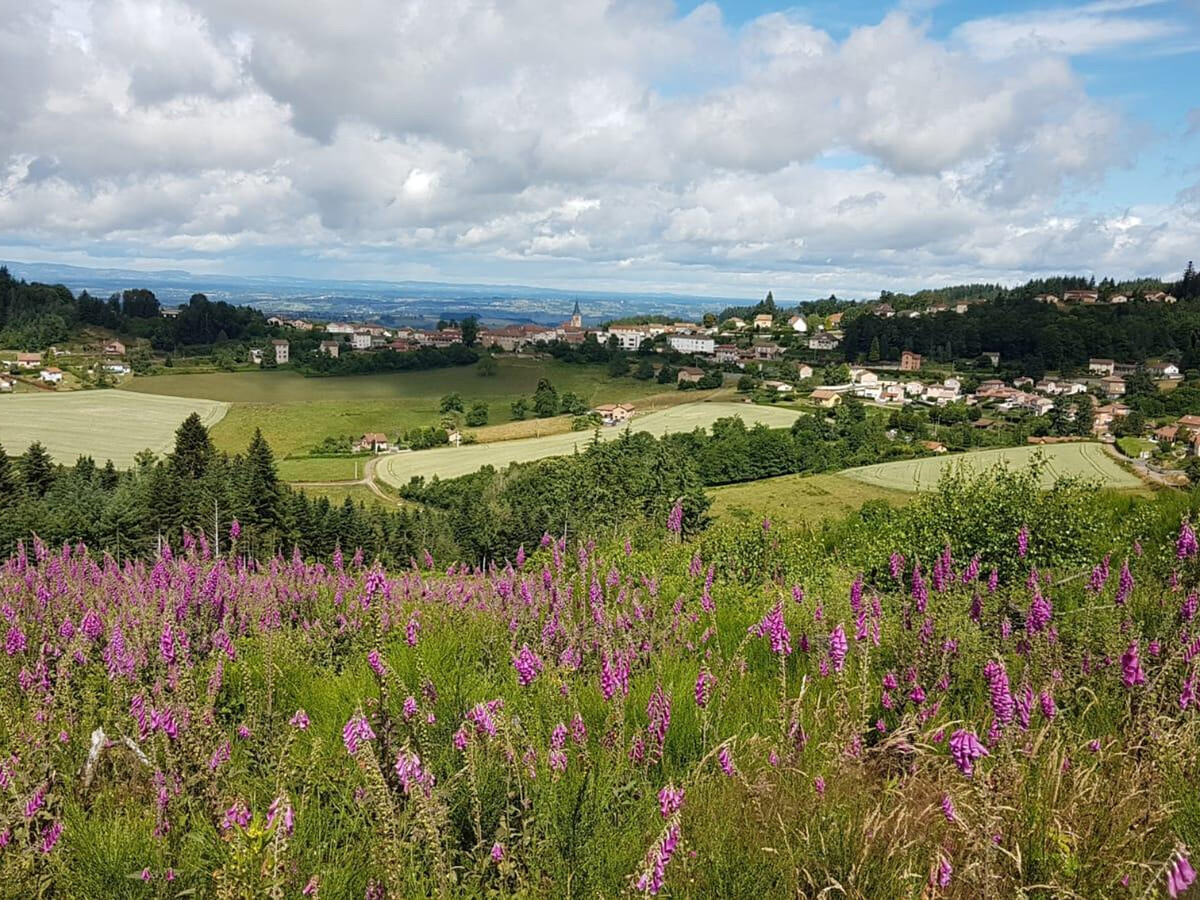 Gîte 200 m² poêle de masse, 12 pers., jardin 350 m² - Photo 36