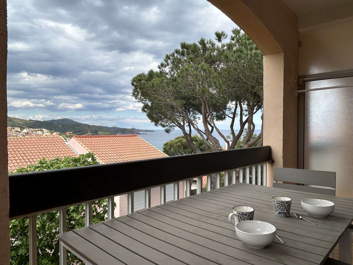 Appartement 3 pièces Banyuls-sur-Mer, terrasse vue mer - Photo 1